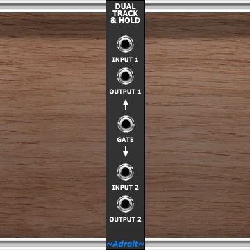 Dual Track & Hold